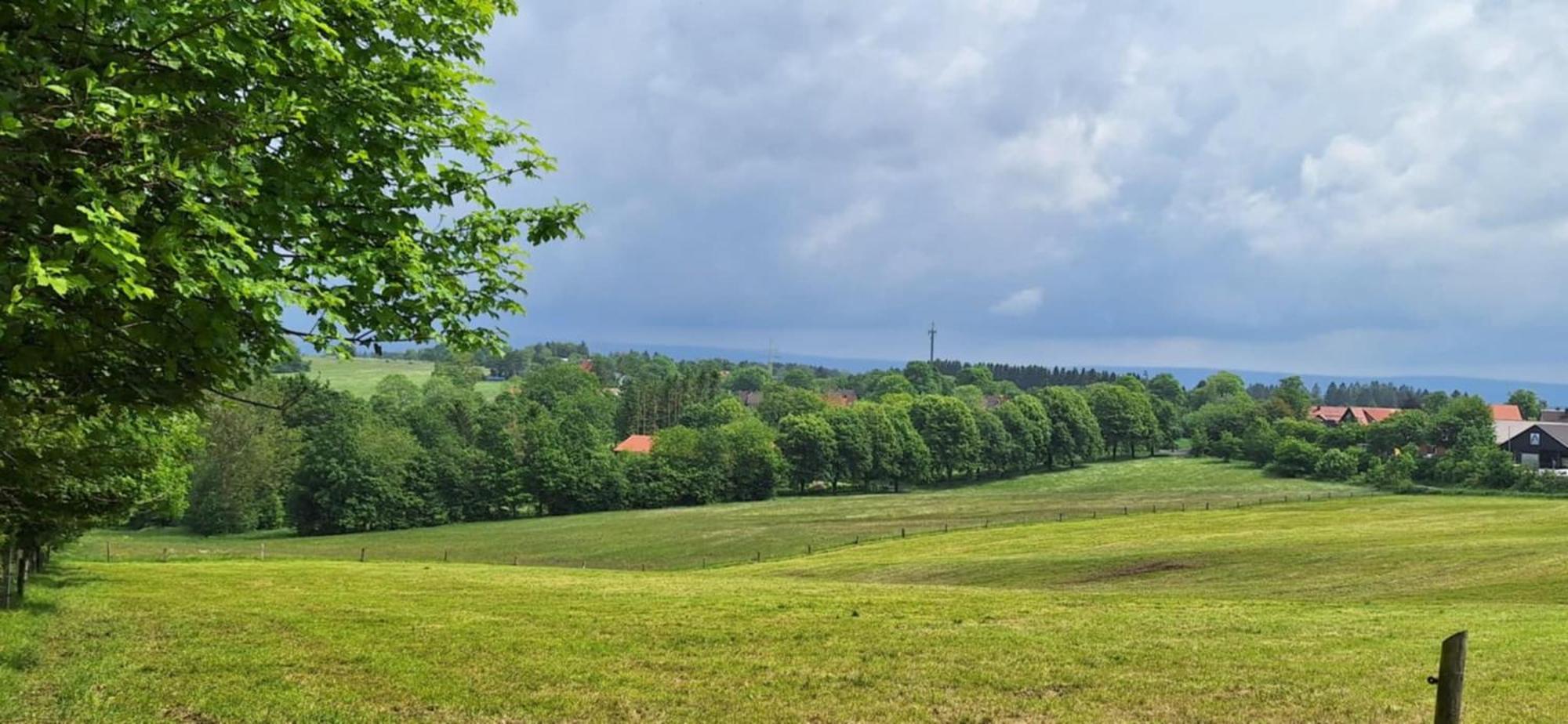 Mai-Ferienhaus-Harz 210Qm Clausthal-Zellerfeld Kültér fotó