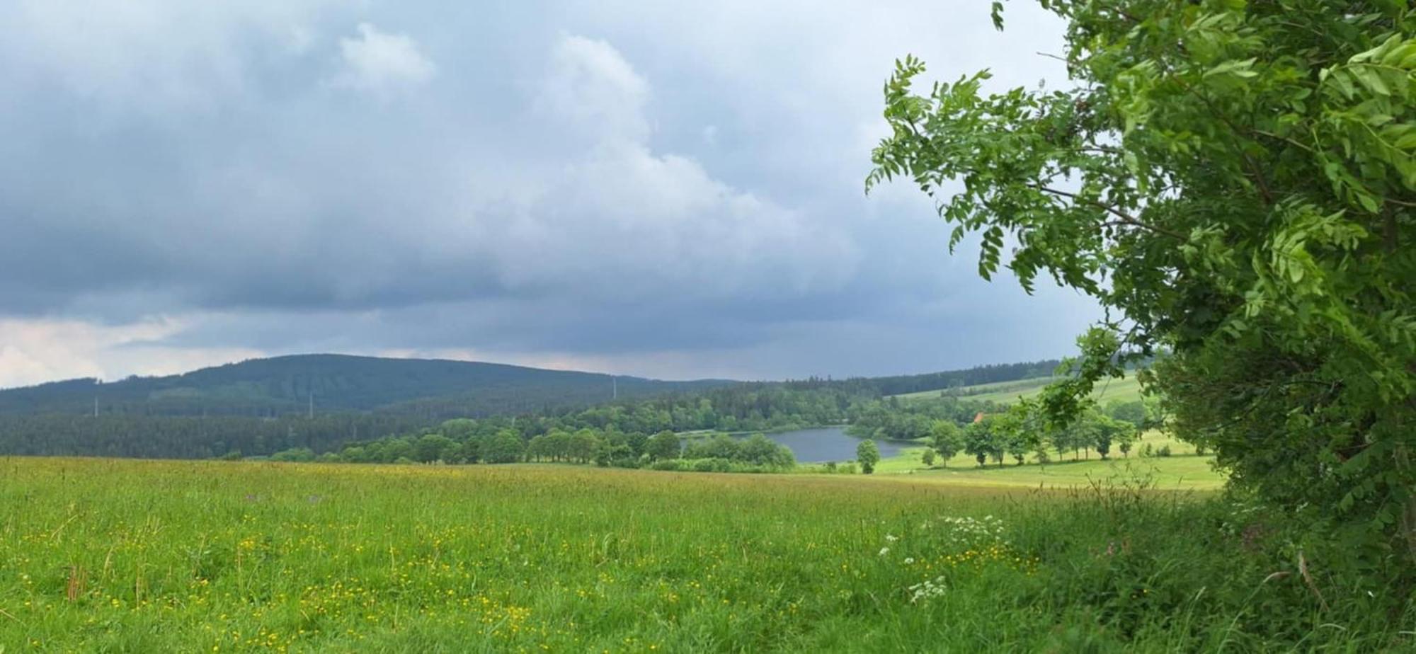 Mai-Ferienhaus-Harz 210Qm Clausthal-Zellerfeld Kültér fotó